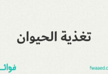 تغذية الحيوان يركز على الاحتياجات الغذائية للحيوانات، في المقام الأول في الزراعة وإنتاج الأغذية، ولكن أيضا في حدائق الحيوان وأحواض السمك وإدارة الحياة البرية. هناك سبع فئات رئيسية من العناصر الغذائية: الكربوهيدرات والدهون والألياف الغذائية والعناصر المعدنية الغذائية والبروتينات والفيتامينات والماء.