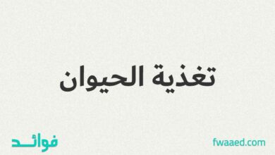 تغذية الحيوان يركز على الاحتياجات الغذائية للحيوانات، في المقام الأول في الزراعة وإنتاج الأغذية، ولكن أيضا في حدائق الحيوان وأحواض السمك وإدارة الحياة البرية. هناك سبع فئات رئيسية من العناصر الغذائية: الكربوهيدرات والدهون والألياف الغذائية والعناصر المعدنية الغذائية والبروتينات والفيتامينات والماء.